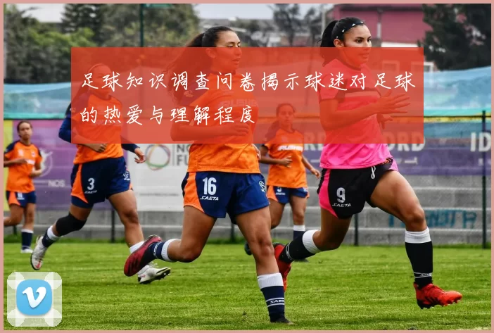 足球知识调查问卷揭示球迷对足球的热爱与理解程度