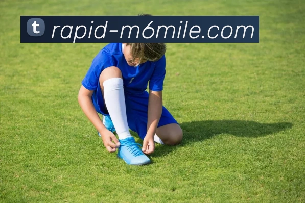 米乐·M6平台生态图